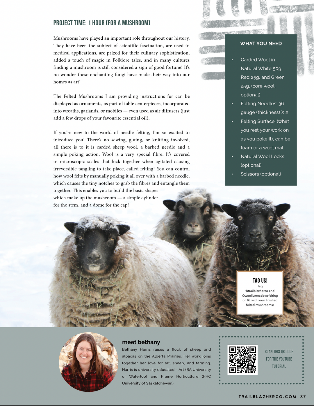 Winter 2023 Issue #13