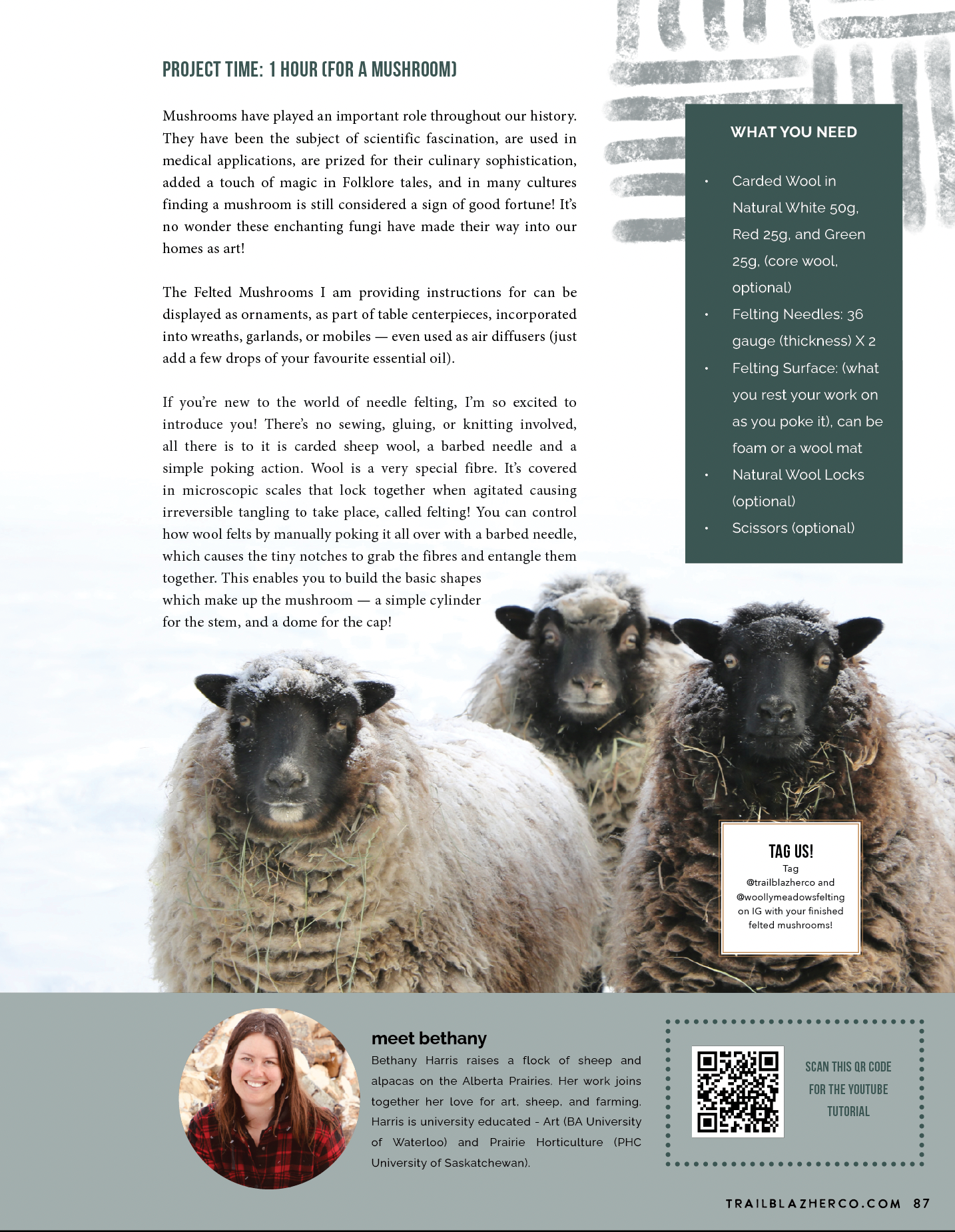 Winter 2023 Issue #13