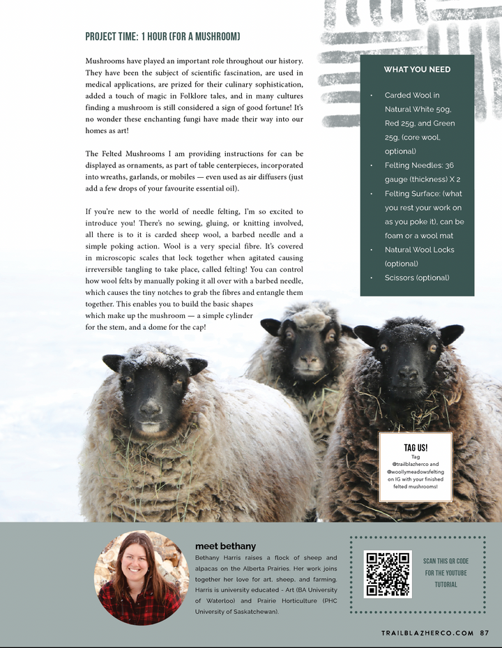 Winter 2023 Issue #13