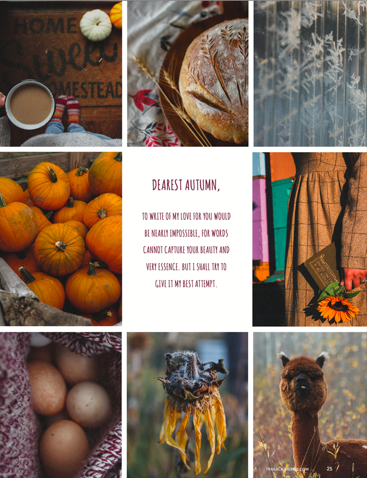 Fall 2024 | Issue 16