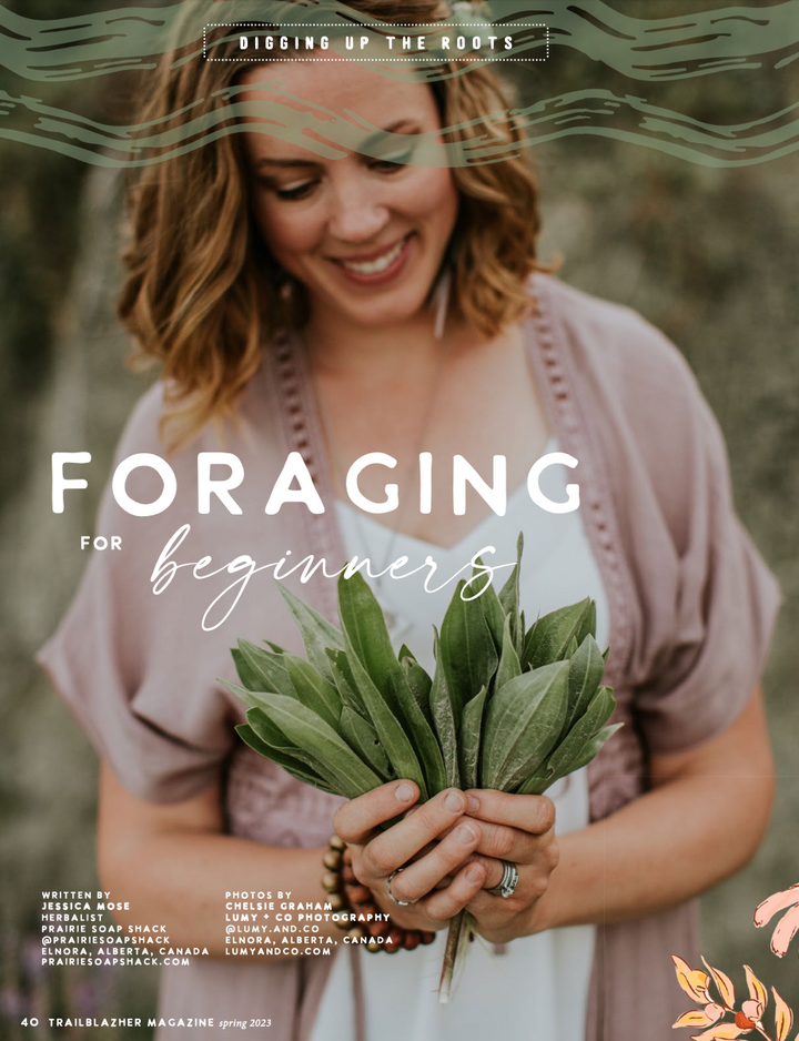 Spring 2023 Issue #10