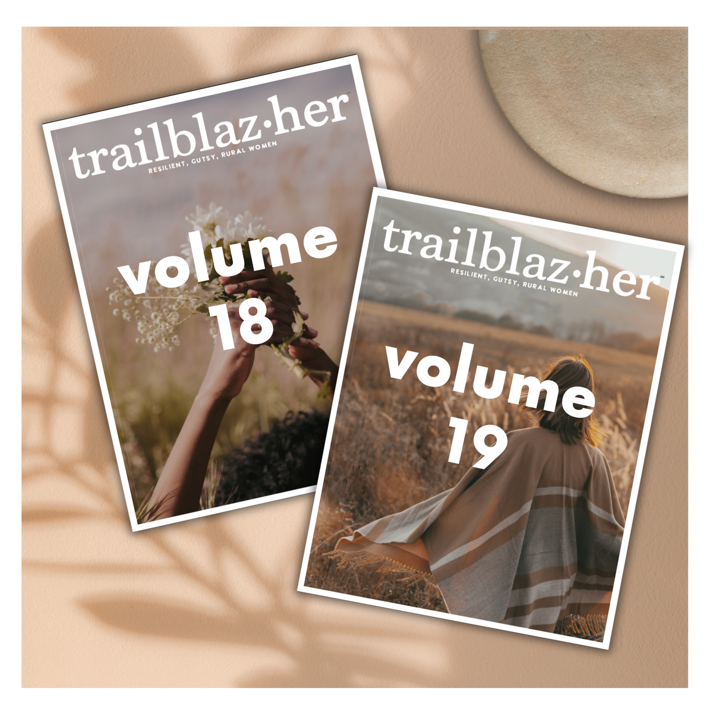 2 issue subscription Vol. 18 & 19